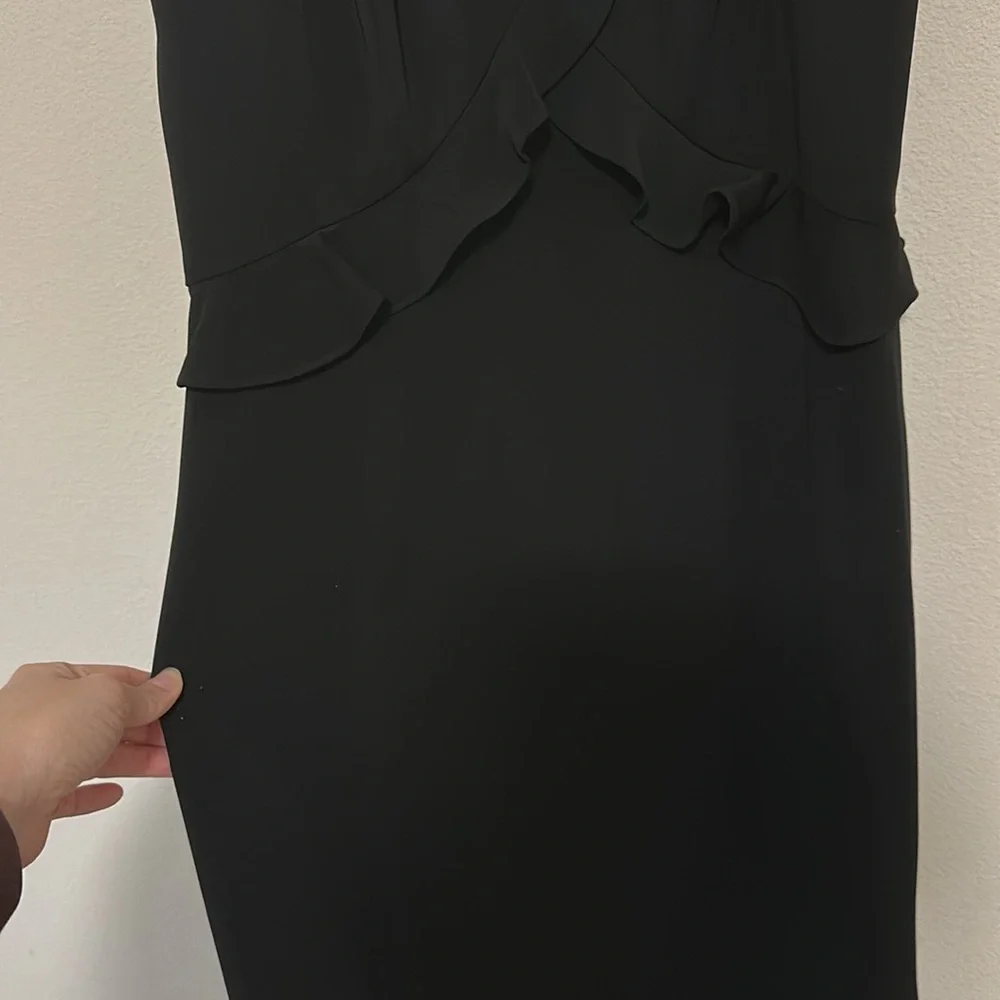 Jay Godfrey Ruffled Joseph Gown - Picture 6 of 10